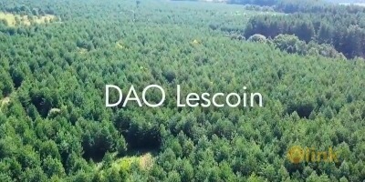 ICO DAO Lescoin
