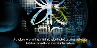 ICO BIG Token