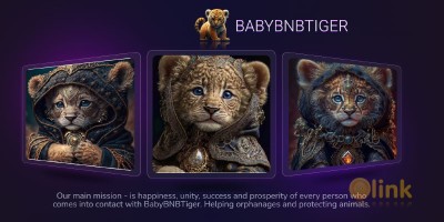 ICO BabyBNBTiger