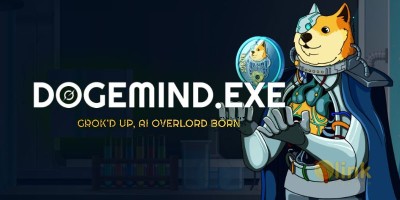 ICO DOGEMIND image in the list
