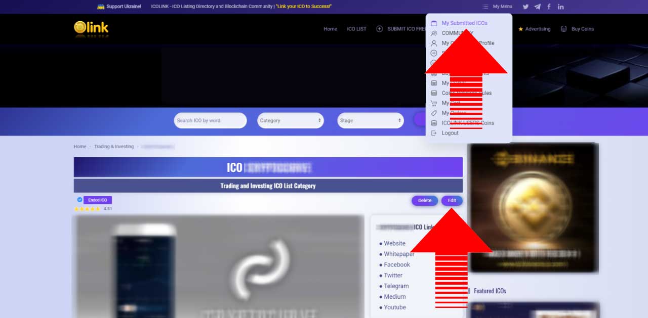 Edit ICO in the List