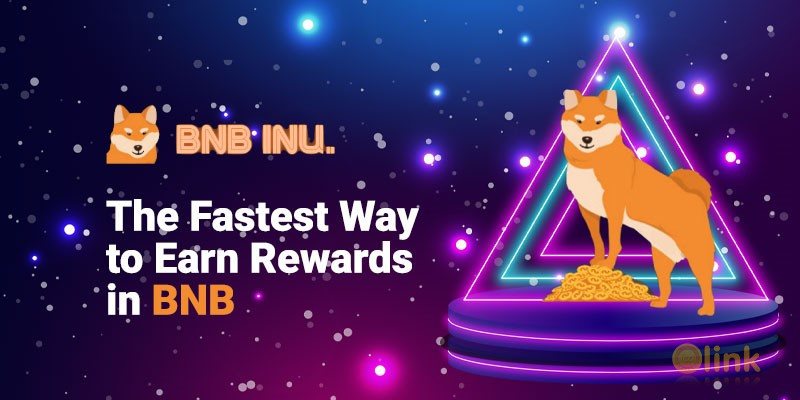 BNB INU ICO