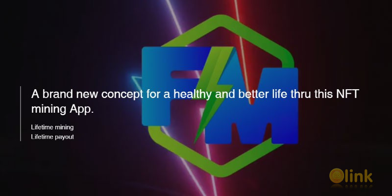 Flash X Max ICO