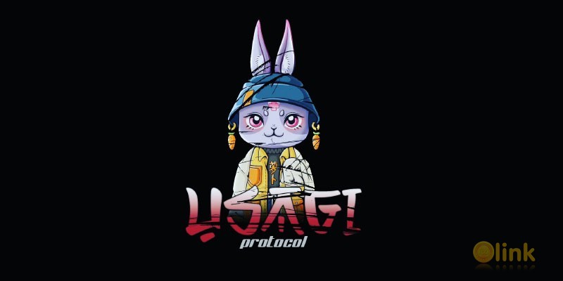 ICO USAGI Protocol