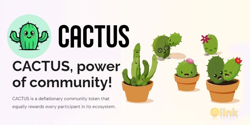 ICO CACTUS