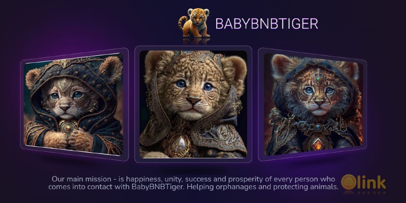 BabyBNBTiger ICO