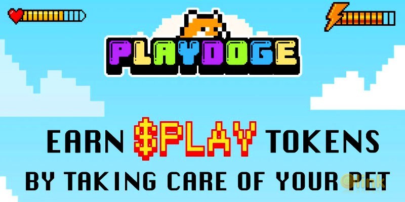 PlayDoge ICO