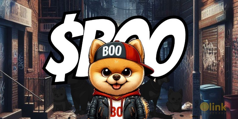 TheBooCoin ICO