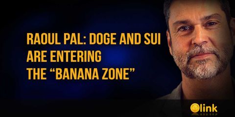 Raoul Pal: DOGE and SUI are entering the “banana zone”
