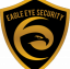 EAGLE EYE SECURITY INC.