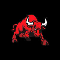 CryptoBulls