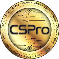 CSPRO CHAIN