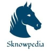 Sknowpedia