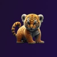 BabyBNBTiger