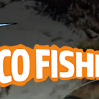 Cyco Fishing