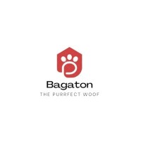 BagaTon