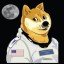 Doge Space Fleet