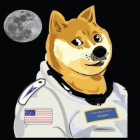 Doge Space Fleet