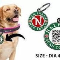 Pet QR Tag
