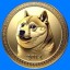 Doge2014
