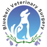 Bluebell Veterinary