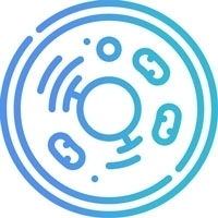 Cryptocells