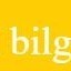 Bilgecoin